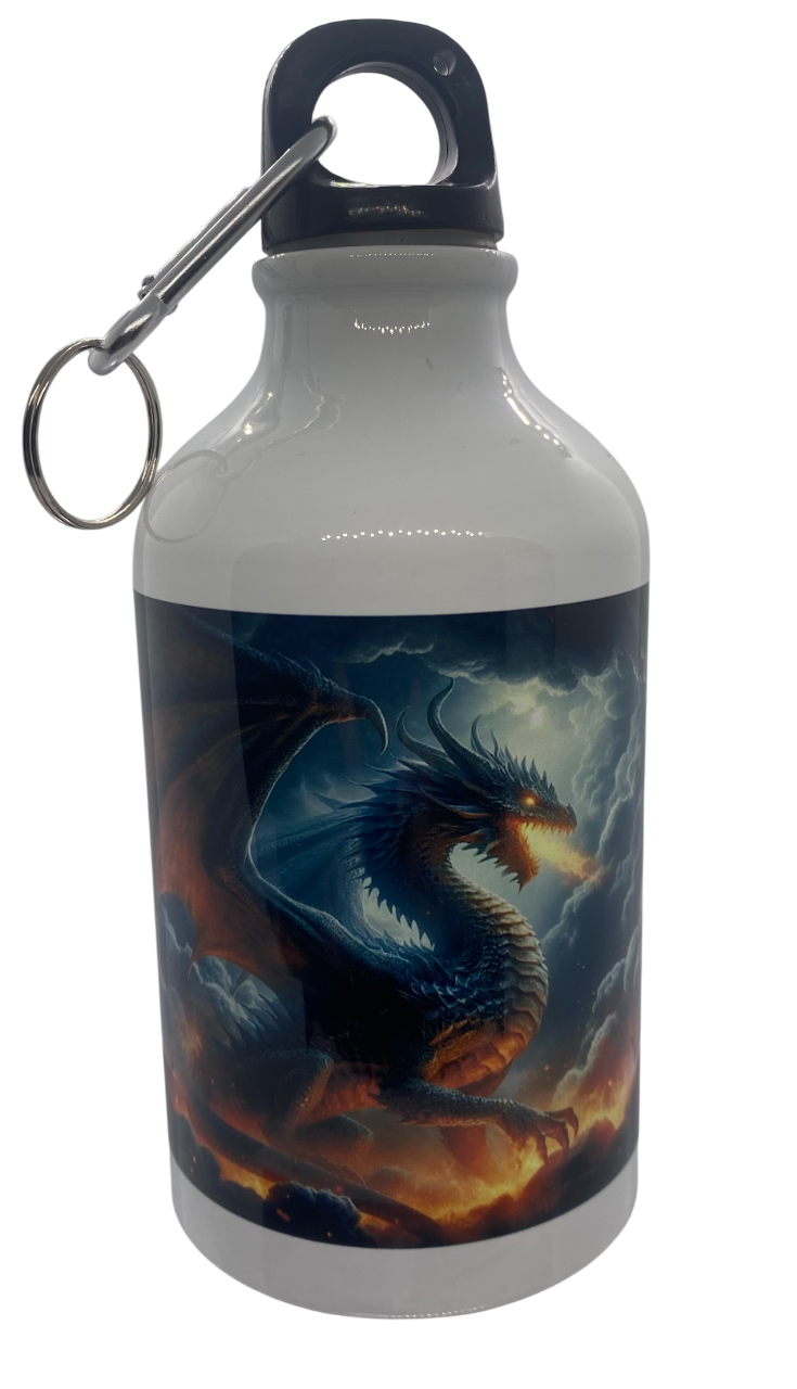 Bouteille inox
