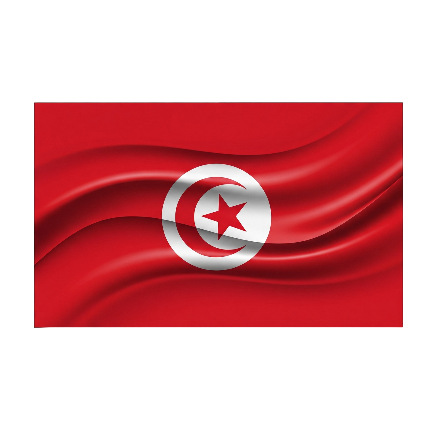 Drapeau N°9