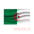 Drapeau N°8