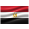 Drapeau N°10