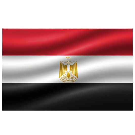 Drapeau N°10
