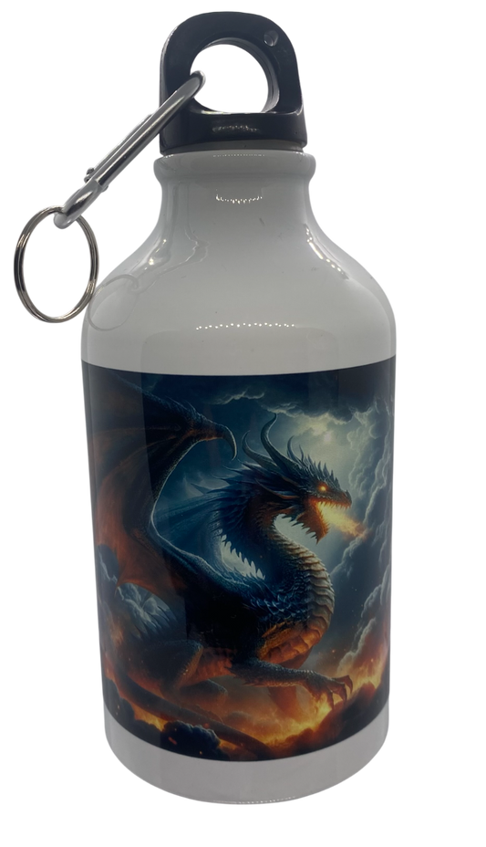 Bouteille inox