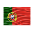 Drapeau N°2
