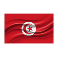 Drapeau N°9