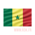 Drapeau N°11 - R3K