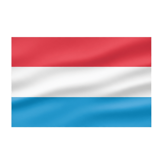 Drapeau N°6 - R3K